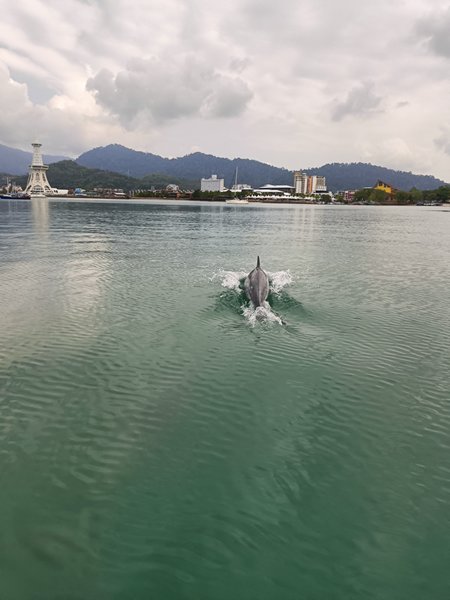 m_IMG20250306101529.jpg