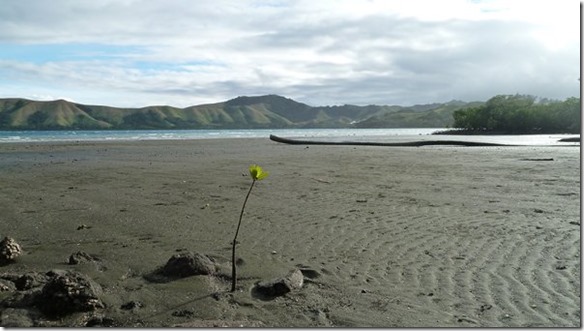 m_Viani Bay 067