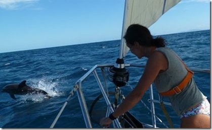 m_Coffs Hbr to Port Stephen 114