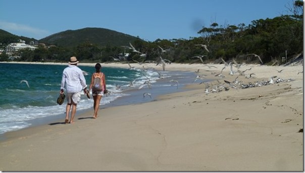 m_Coffs Hbr to Port Stephen 275