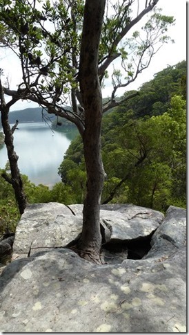 m_America Bay and bushwalk 038