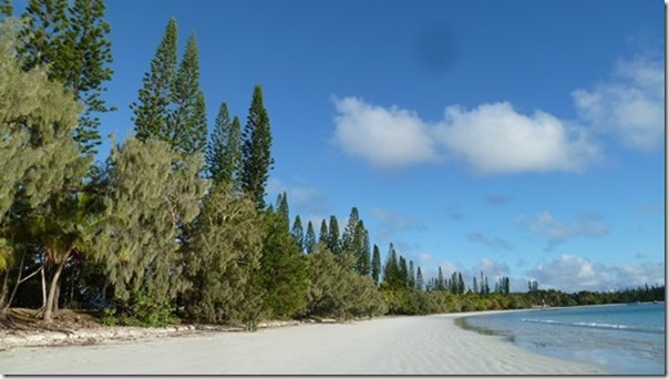 m_Noumea to Ile des Pins August 2014 272