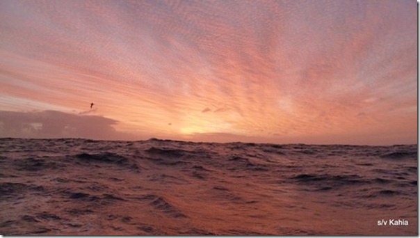 m_NZ to TAHITI passage May 2015 145 (2)