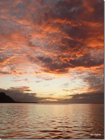 m_Moorea August 2015 113