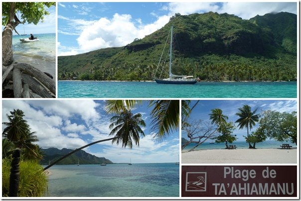 m_Moorea 20151