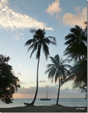 m_Moorea botanical garden 086