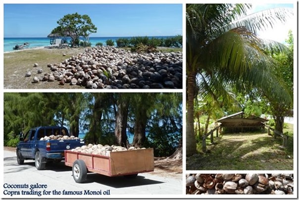 m_Fakarava 2015