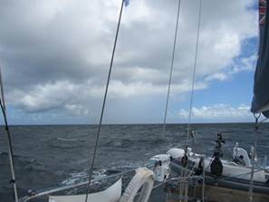 m_IMG_2348 (1)