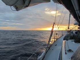 m_IMG_2353 (1)