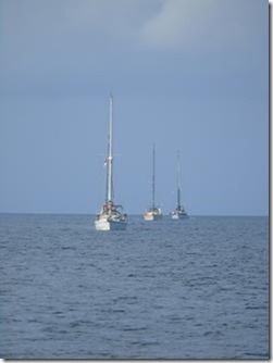 m_DSC02658