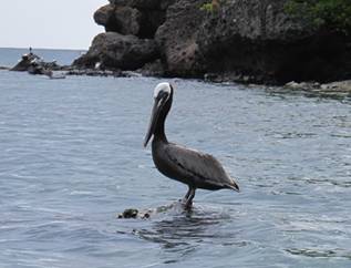 m_IMG_0643.jpg