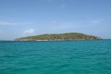 m_IMG_0707.jpg