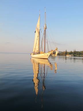 m_IMG_2368.jpg