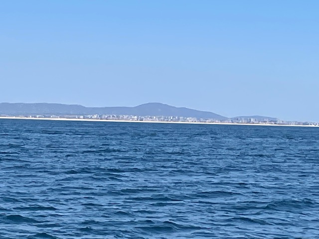 IMG_7770.jpeg