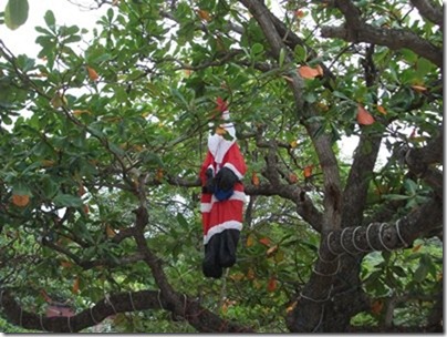 bequia36bequia xmas 001