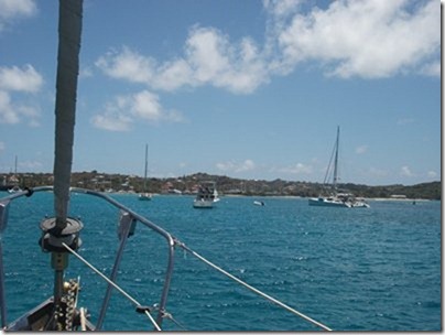 bvi40anegada 031