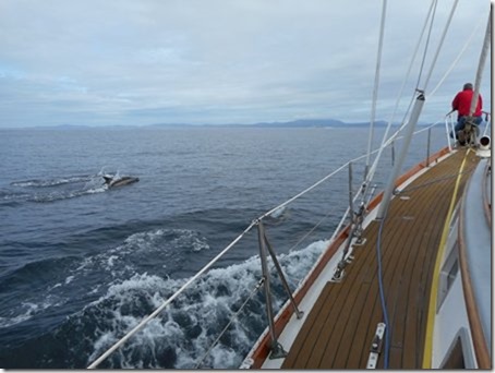 ORONSAY8ireland 2015 006