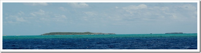 DSC00205