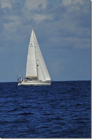 Bequia_to_St_Lucia_021
