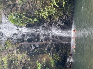image0.jpeg