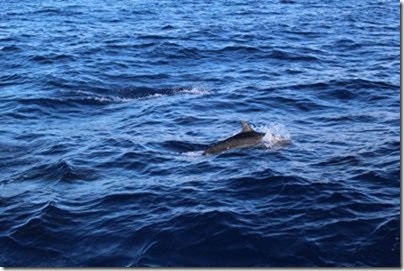 m_IMG_4564
