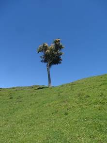 cid:image046.jpg@01CEE050.C4F4DBF0