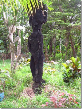 Tanna 023