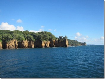 Tanna (47)