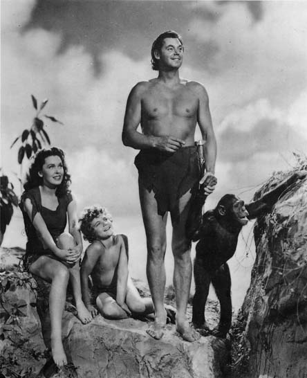 tarzan0129.jpg tarzan0129.jpg