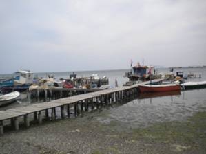 DSCN1197.JPG