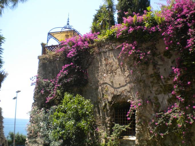 DSCN1511.JPG