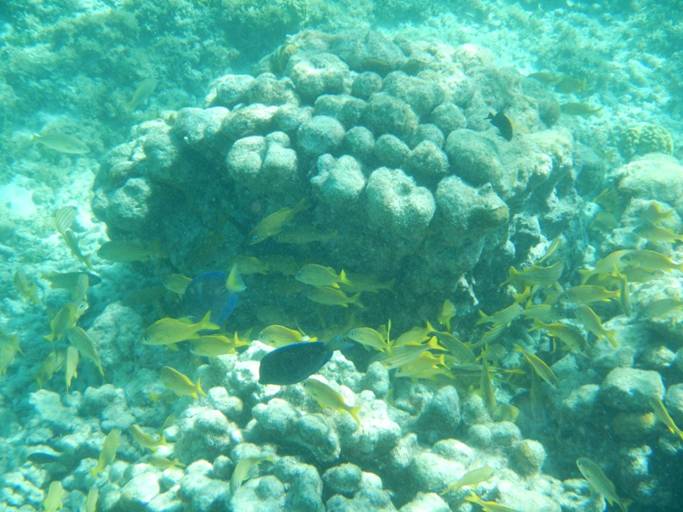 DSCN0224.JPG
