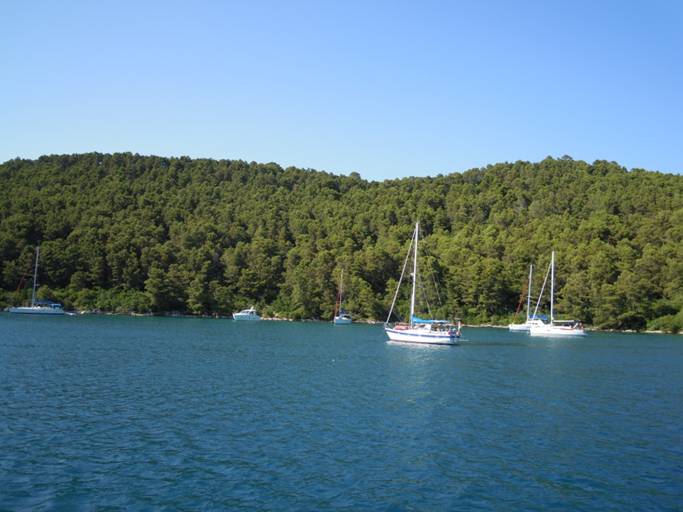 DSCN1386.JPG