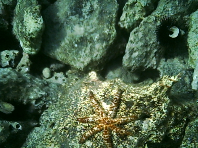 PICT0026.JPG
