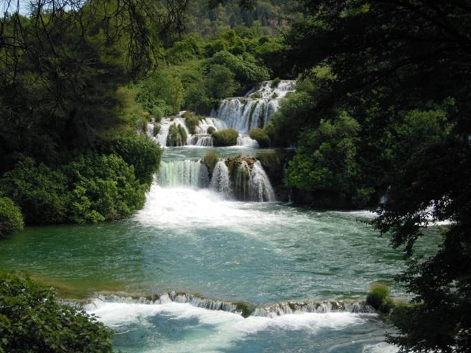 DSCN1630.JPG