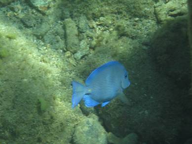 IMG_0285.JPG