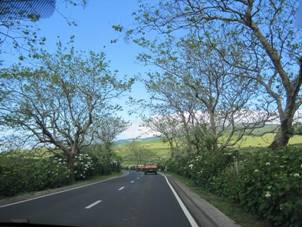 IMG_2561.JPG