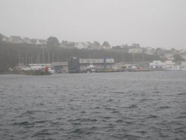 IMG_1660.jpg