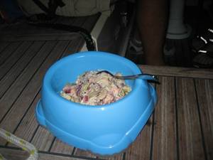 IMG_2538.JPG