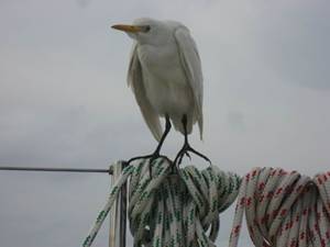 IMG_2537.JPG