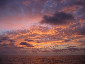 IMG_2515.JPG