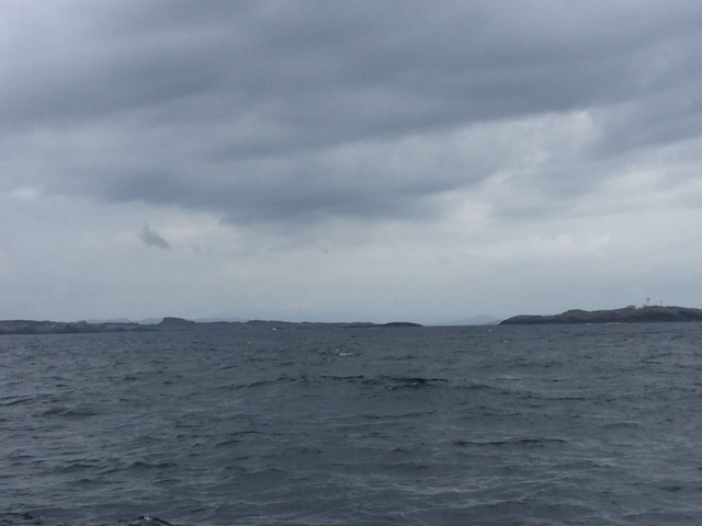 image1.jpeg