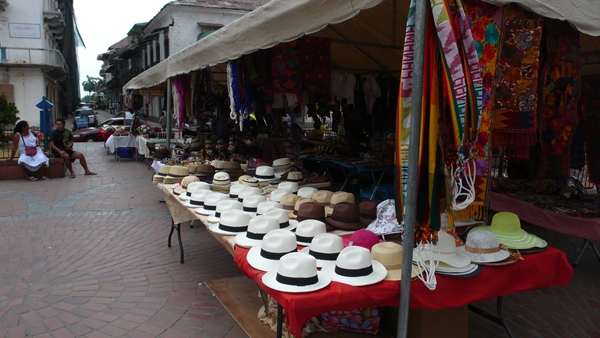 m_P1060413.jpg