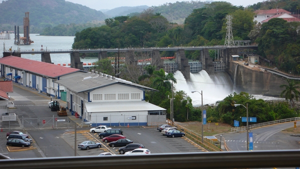 m_P1060370.jpg