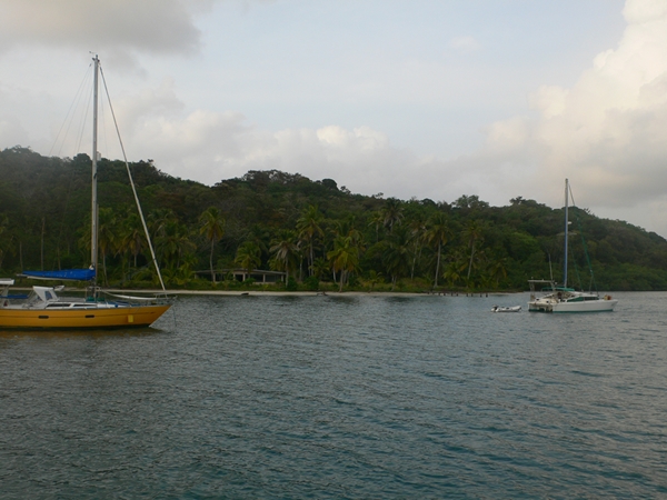 m_P1040018.jpg