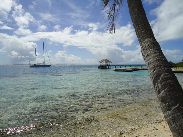 m_DSC01482.jpg