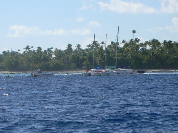 m_P1060069.jpg