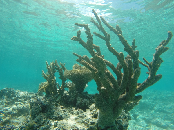 m_GOPR0634.jpg