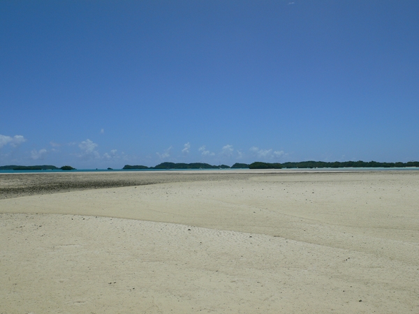 m_P1060458.jpg