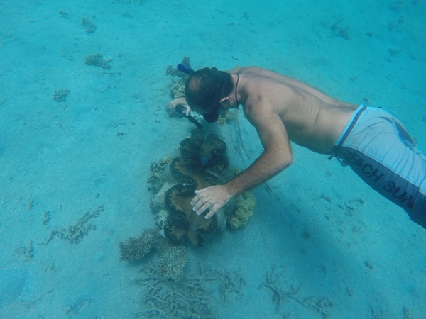 m_GOPR0728.jpg